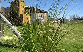 Pensamientos del alma (Uribelarrea)